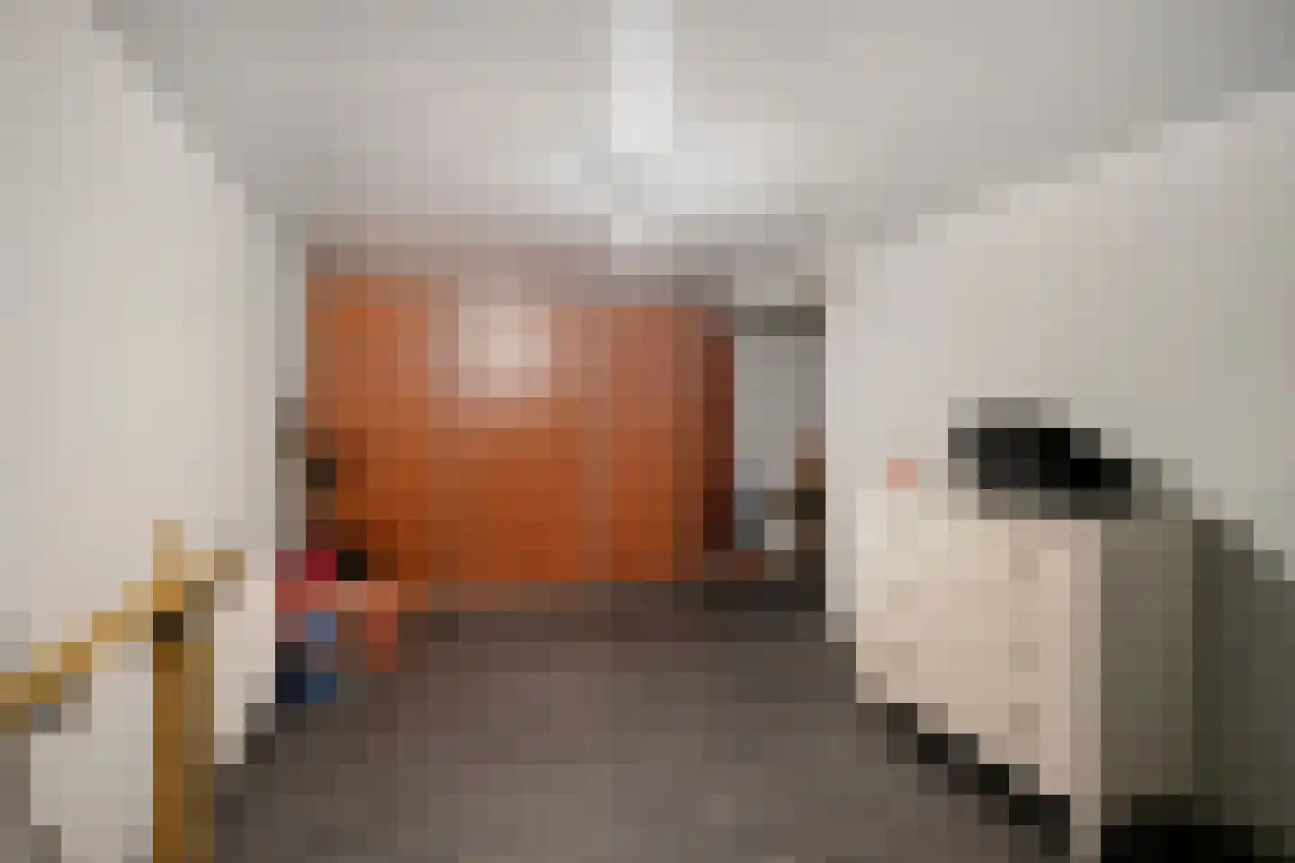 Philipsdaalder 82 Dronten thumbnail 44