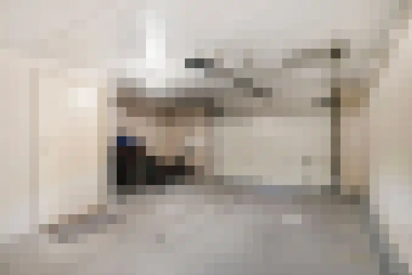 Philipsdaalder 82 Dronten thumbnail 47