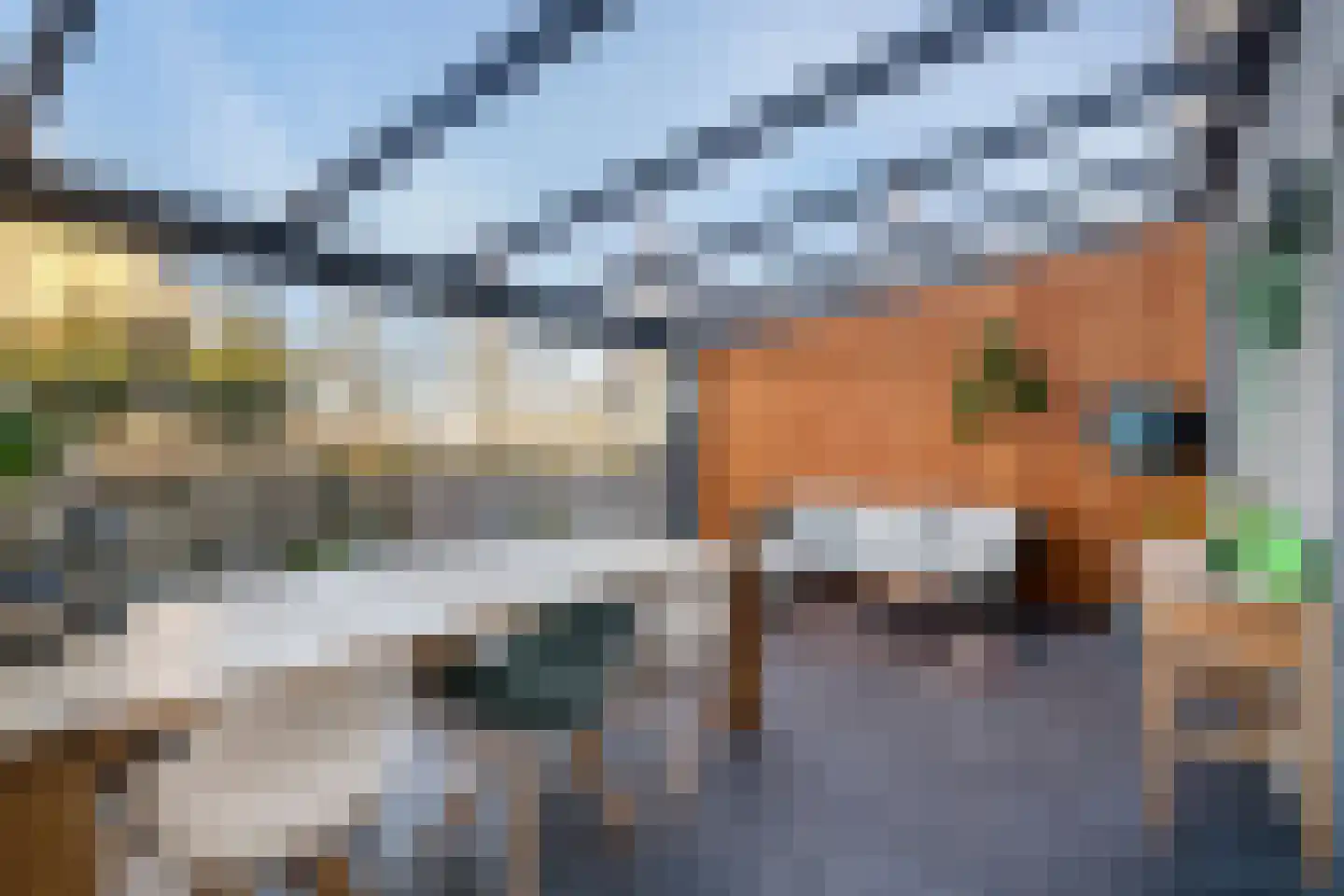 Philipsdaalder 82 Dronten thumbnail 50
