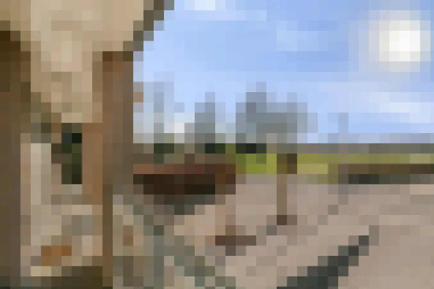 Philipsdaalder 82 Dronten thumbnail 6