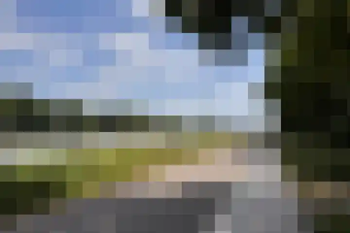 Philipsdaalderhof 5 Utrecht thumbnail 11