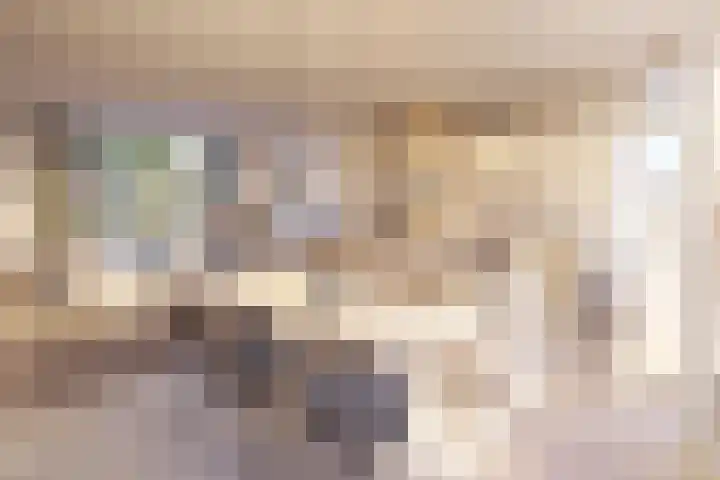 Philipsdaalderhof 5 Utrecht thumbnail 4
