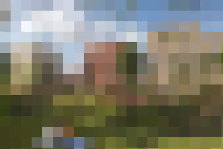 Philipsdaalderhof 5 Utrecht thumbnail 5