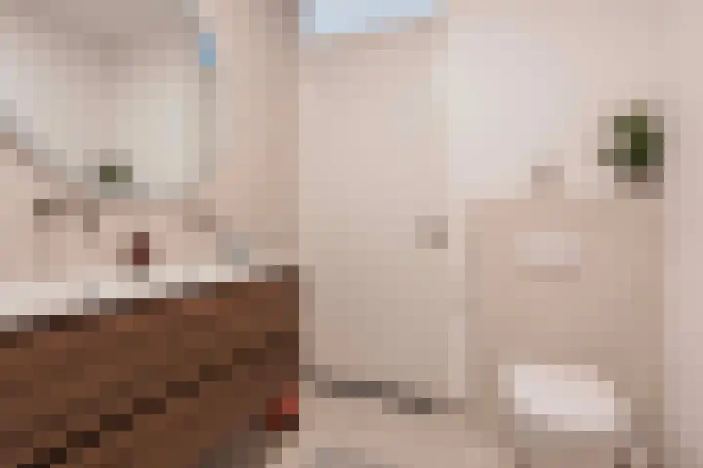 Philipsdaalderhof 6 Utrecht thumbnail 46