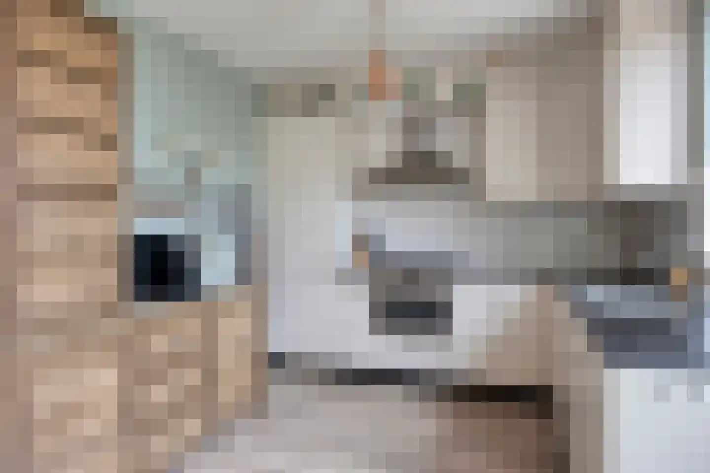 Philipsgulden 6 Dronten thumbnail 13