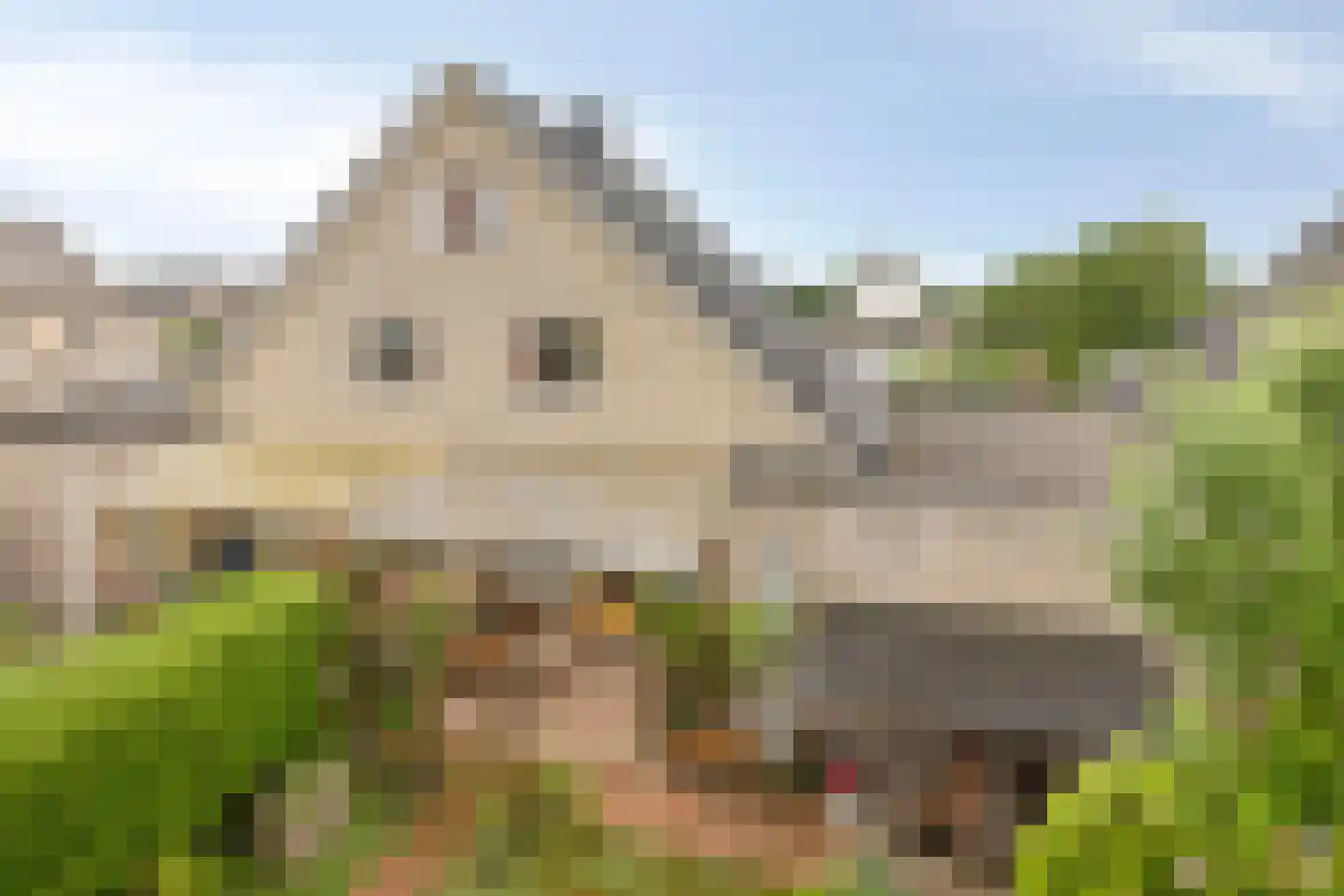 Philipsgulden 6 Dronten thumbnail 31