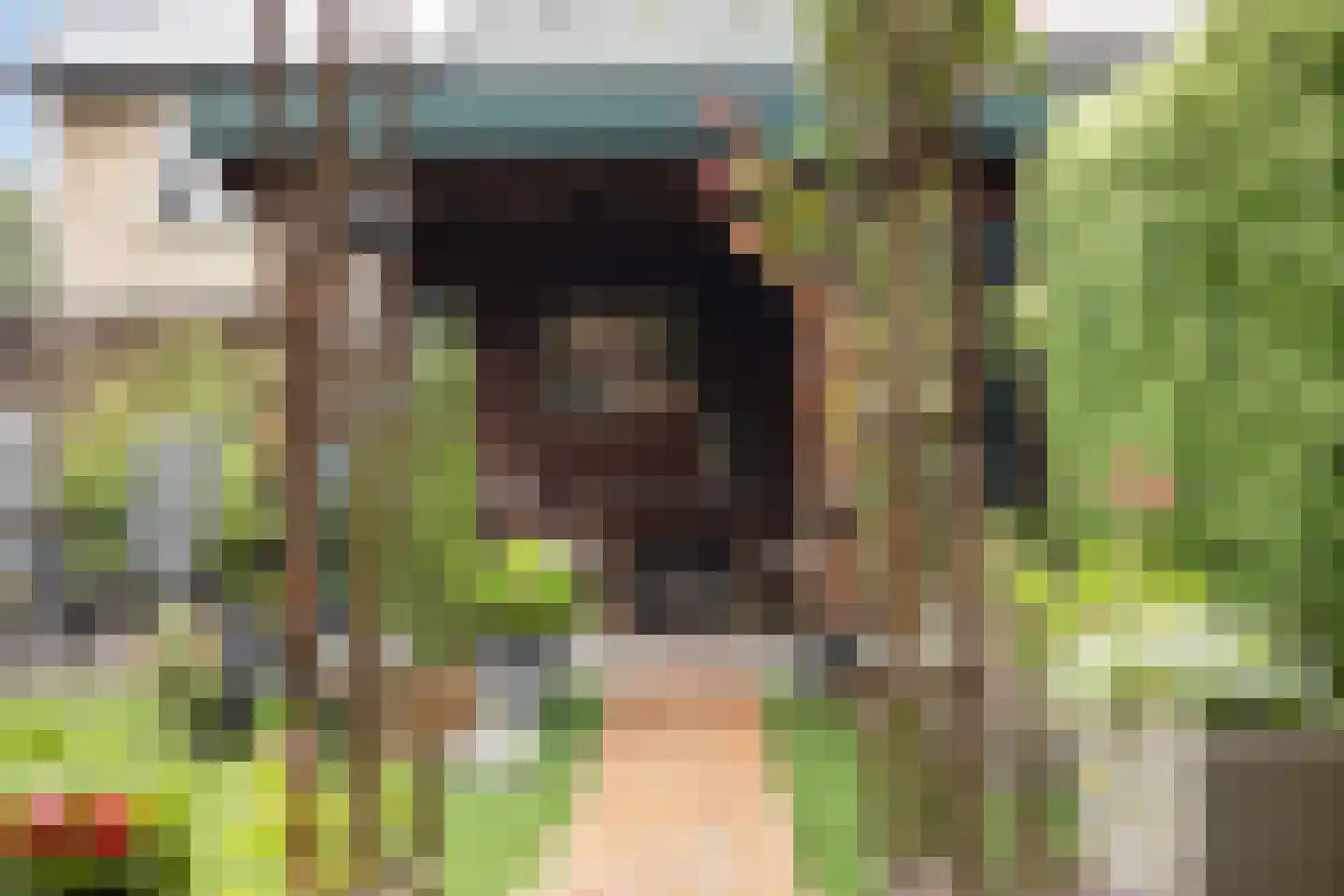 Philipsgulden 6 Dronten thumbnail 37