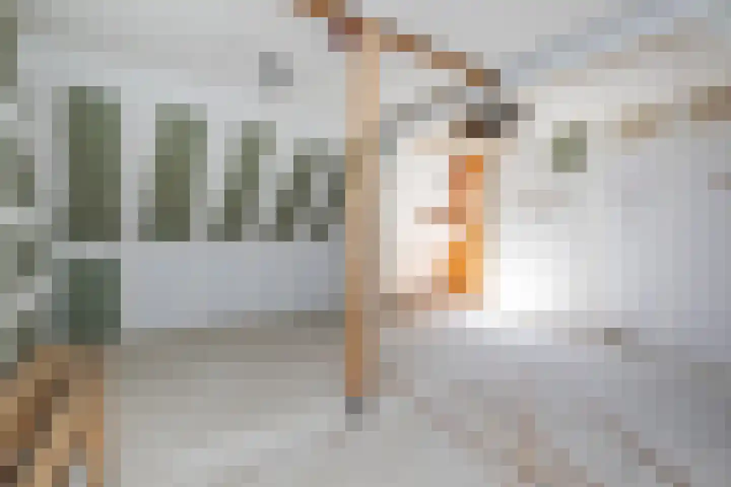 Philipshoofjesweg 16 Dirksland thumbnail 16