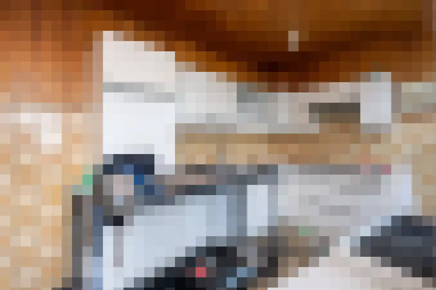 Philipshoofjesweg 16 Dirksland thumbnail 8