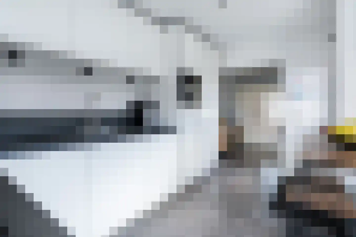 Philipshoofjesweg 18 Dirksland thumbnail 10