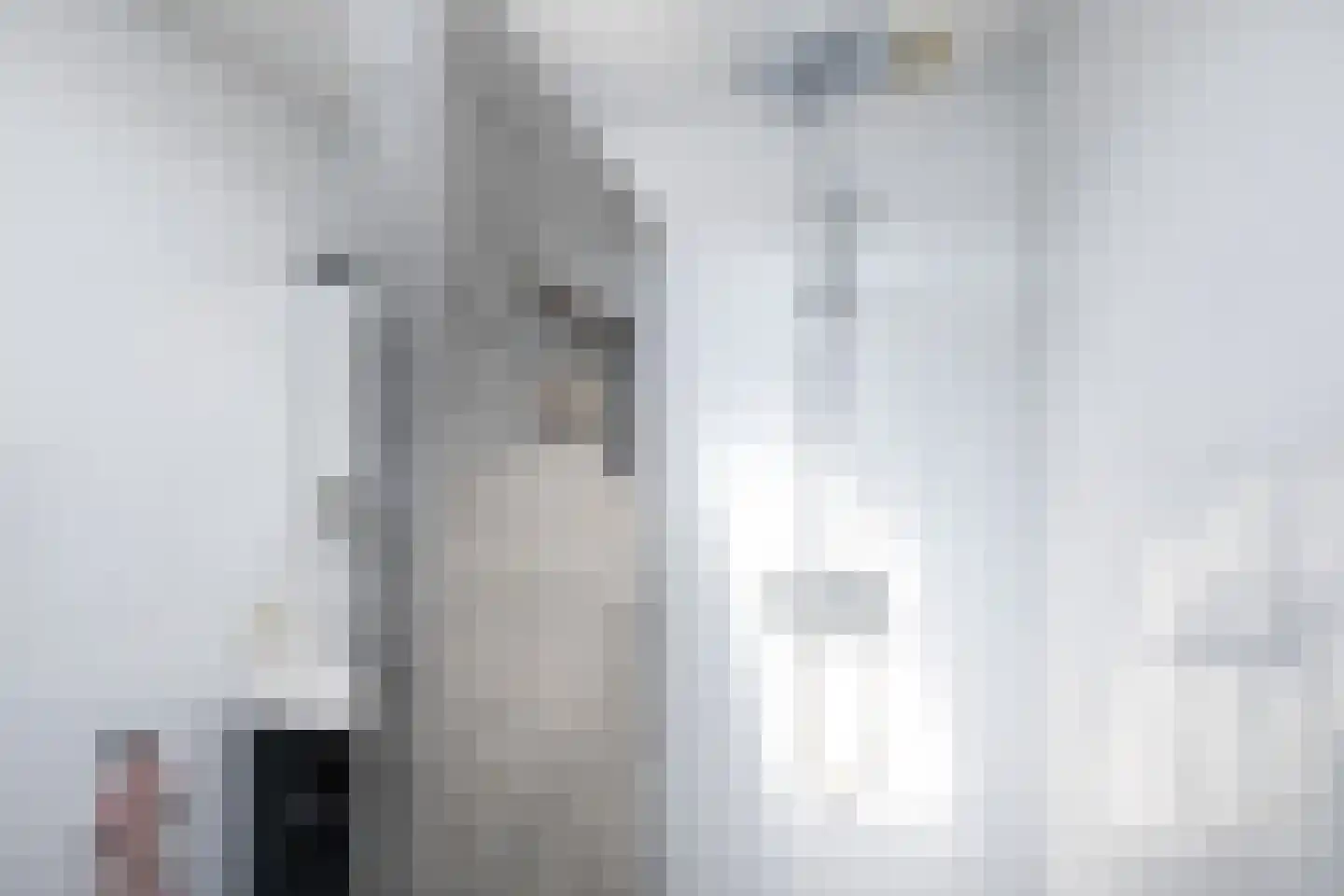 Philipshoofjesweg 18 Dirksland thumbnail 12