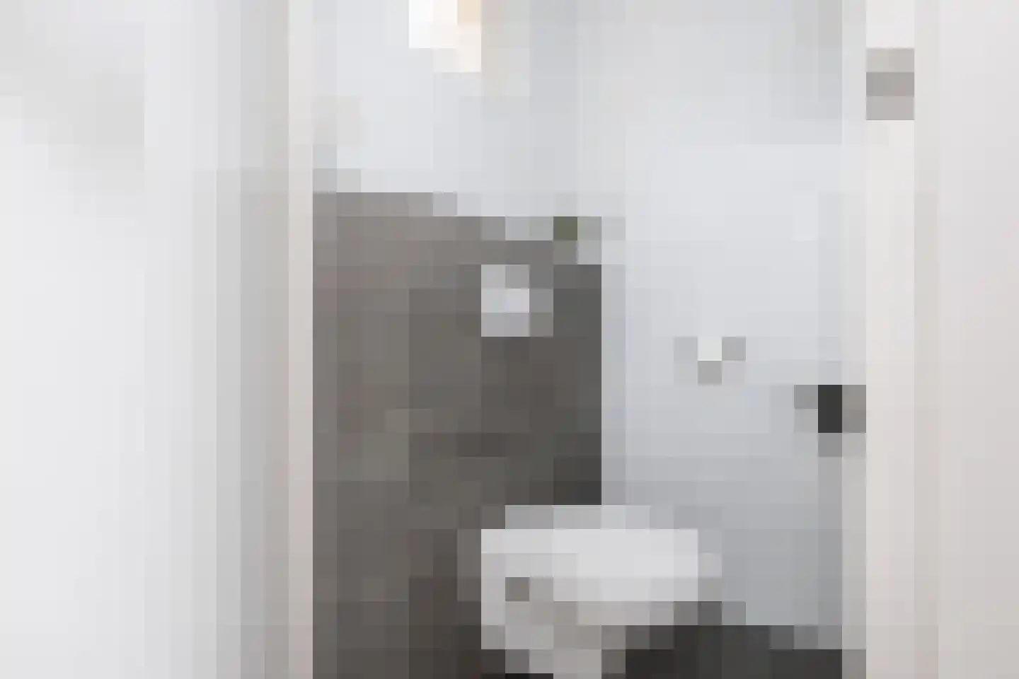 Philipshoofjesweg 18 Dirksland thumbnail 13