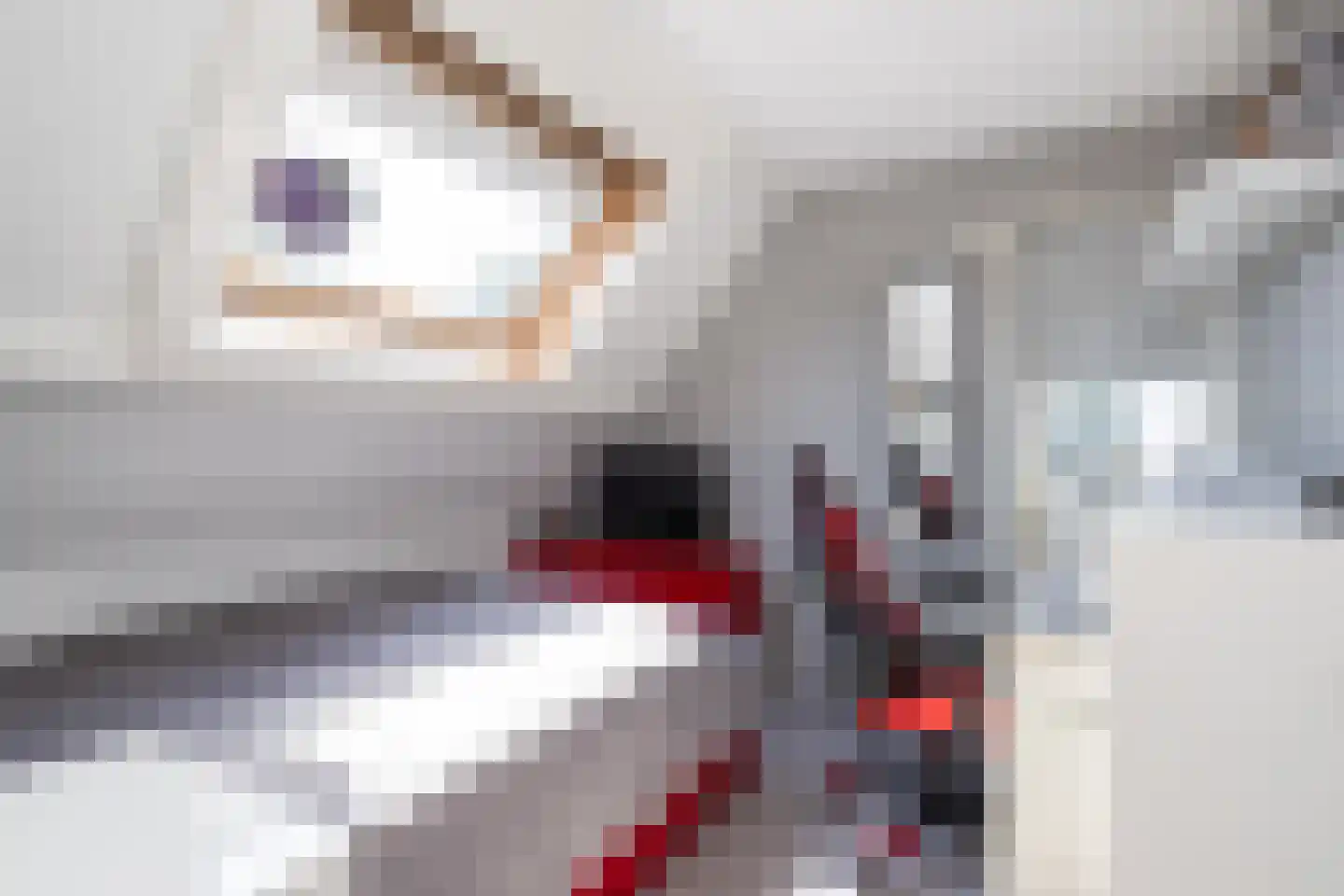 Philipshoofjesweg 18 Dirksland thumbnail 17
