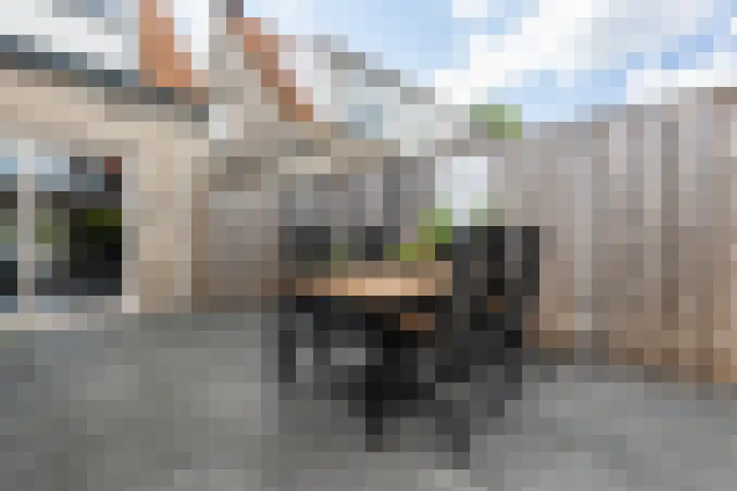 Philipshoofjesweg 18 Dirksland thumbnail 22