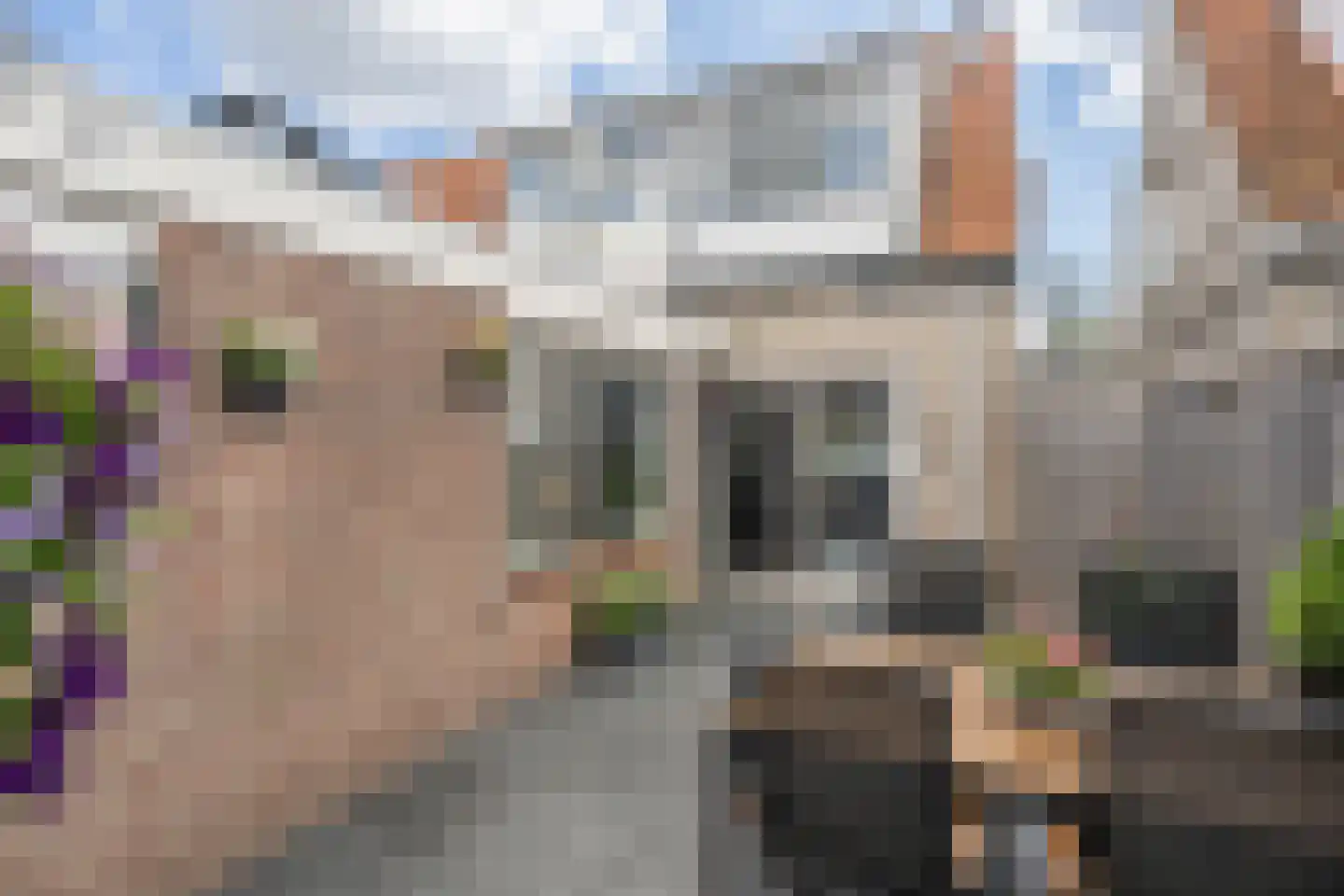 Philipshoofjesweg 18 Dirksland thumbnail 23