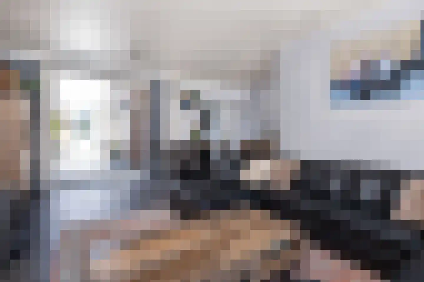 Philipshoofjesweg 18 Dirksland thumbnail 6