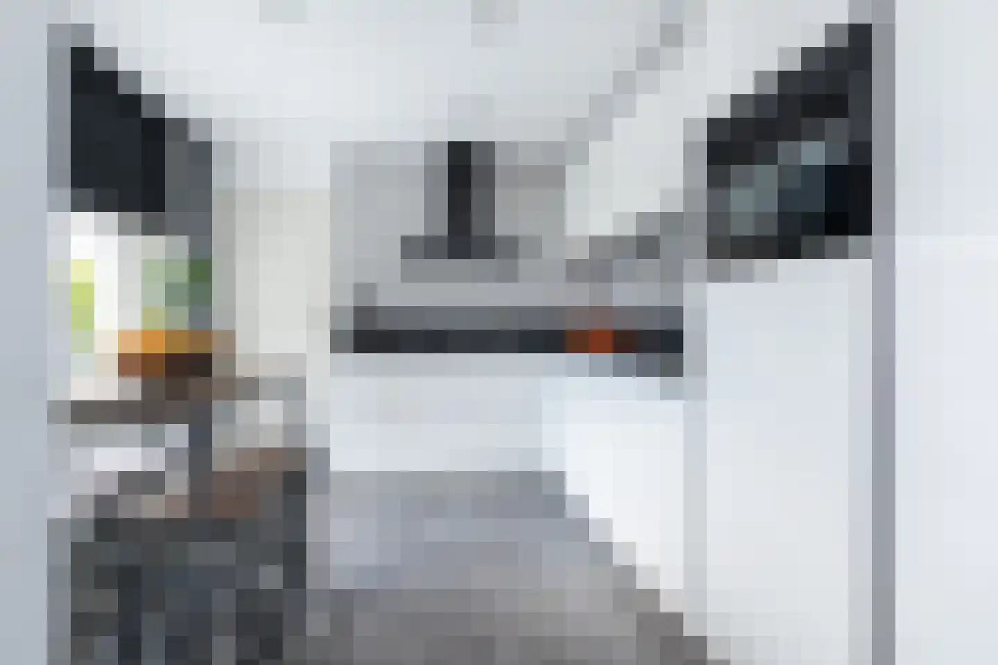 Philipshoofjesweg 18 Dirksland thumbnail 8