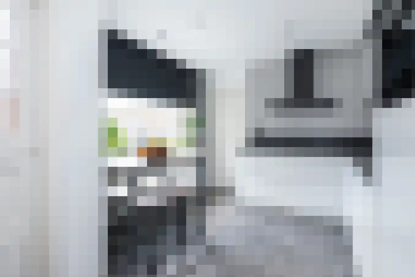 Philipshoofjesweg 18 Dirksland thumbnail 9