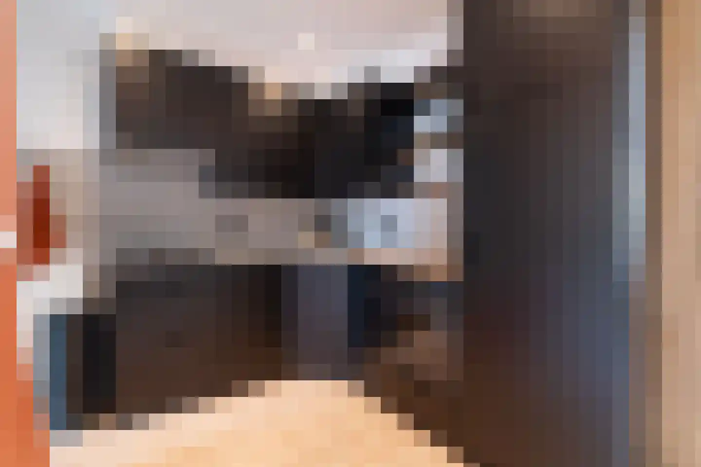 Philipshoofjesweg 42 Dirksland thumbnail 14
