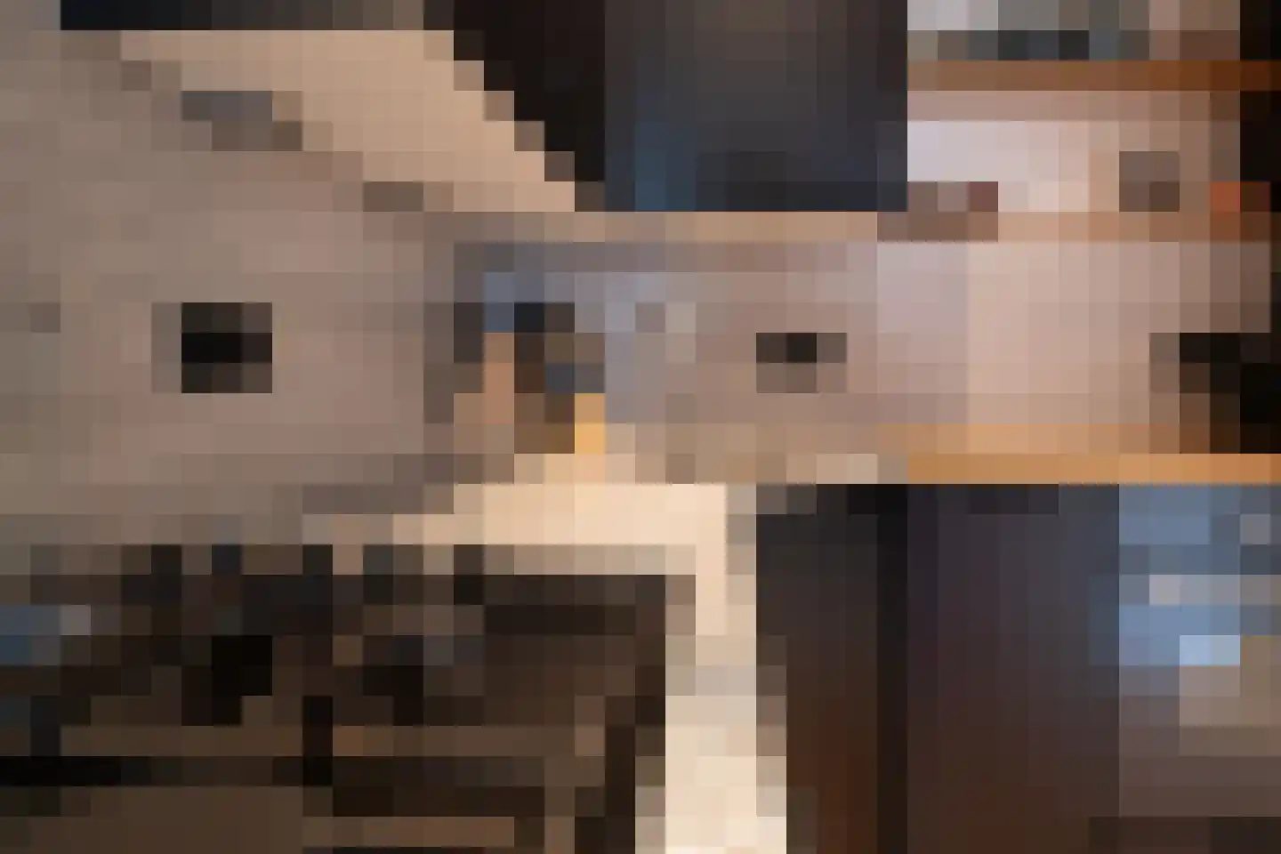 Philipshoofjesweg 42 Dirksland thumbnail 16
