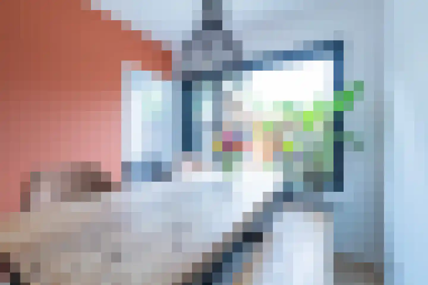 Philipshoofjesweg 42 Dirksland thumbnail 18