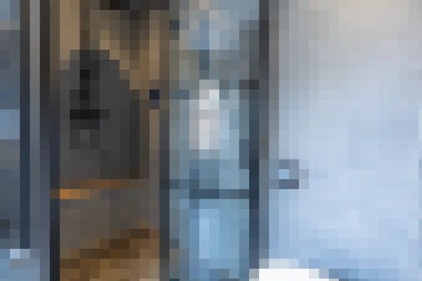Philipshoofjesweg 42 Dirksland thumbnail 21