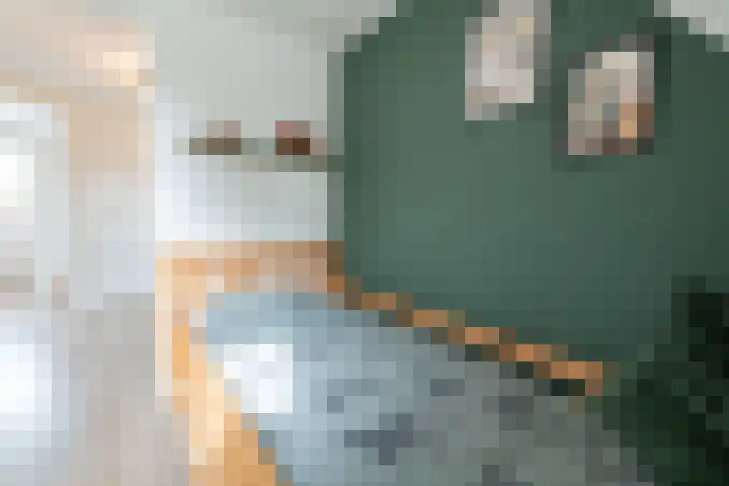Philipshoofjesweg 42 Dirksland thumbnail 30