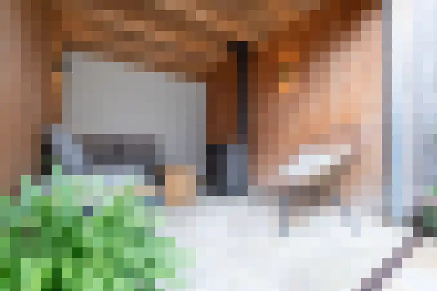 Philipshoofjesweg 42 Dirksland thumbnail 40