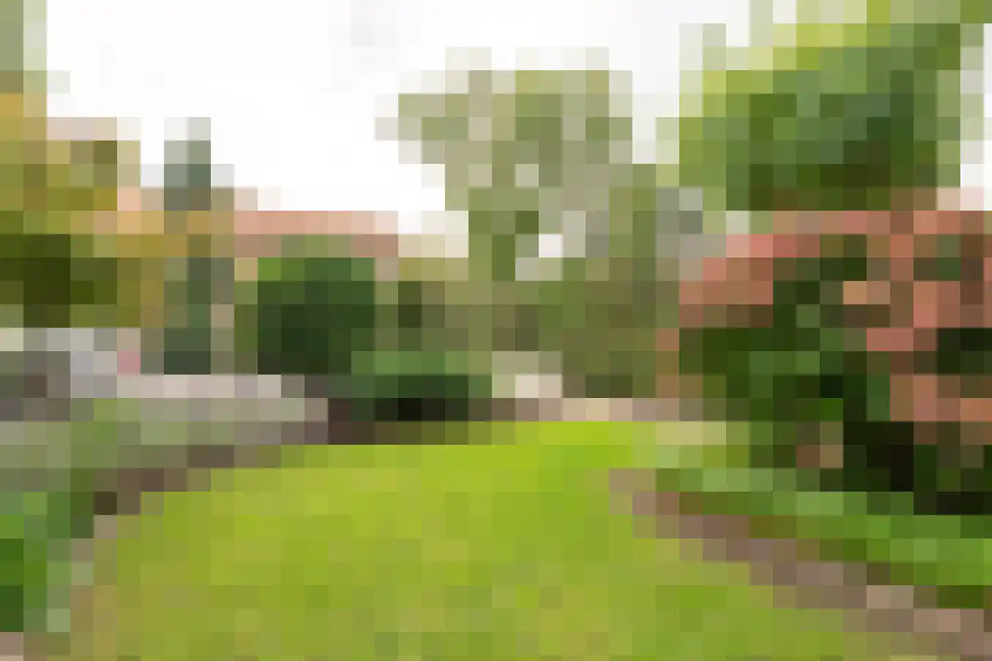 Philipshoofjesweg 42 Dirksland thumbnail 43