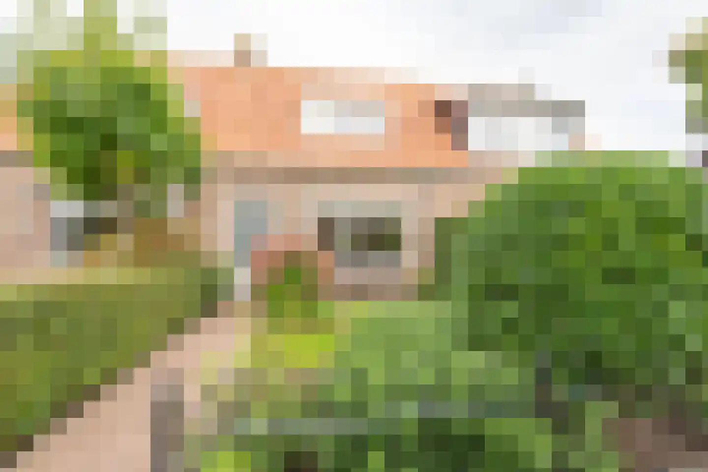Philipshoofjesweg 42 Dirksland thumbnail 45