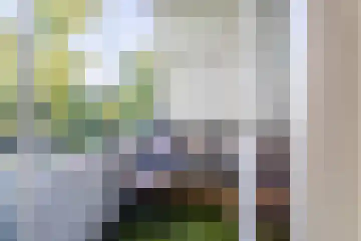 Philipslaan 87 a Roosendaal thumbnail 6