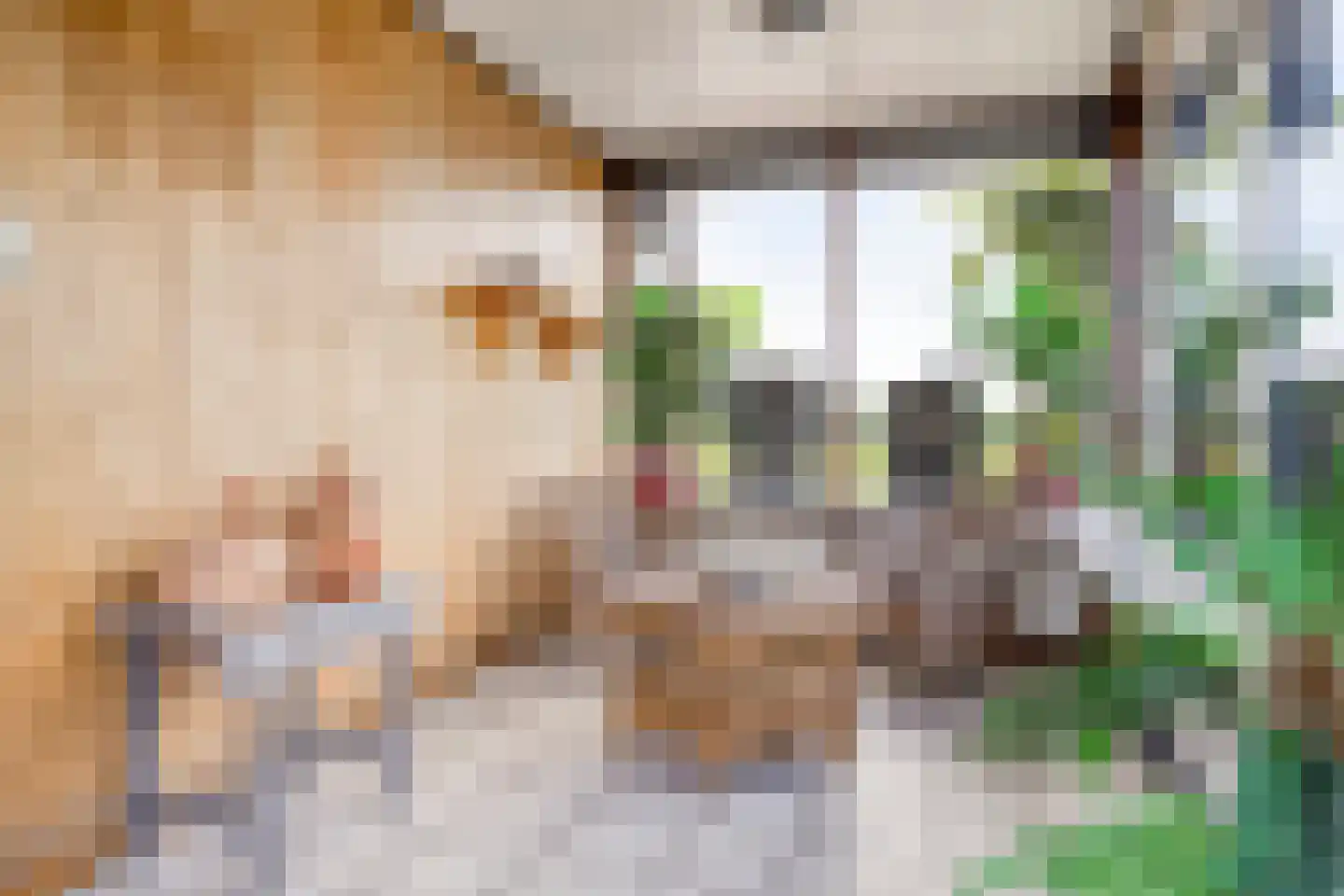 Philipsweg 16 Waterlandkerkje thumbnail 14