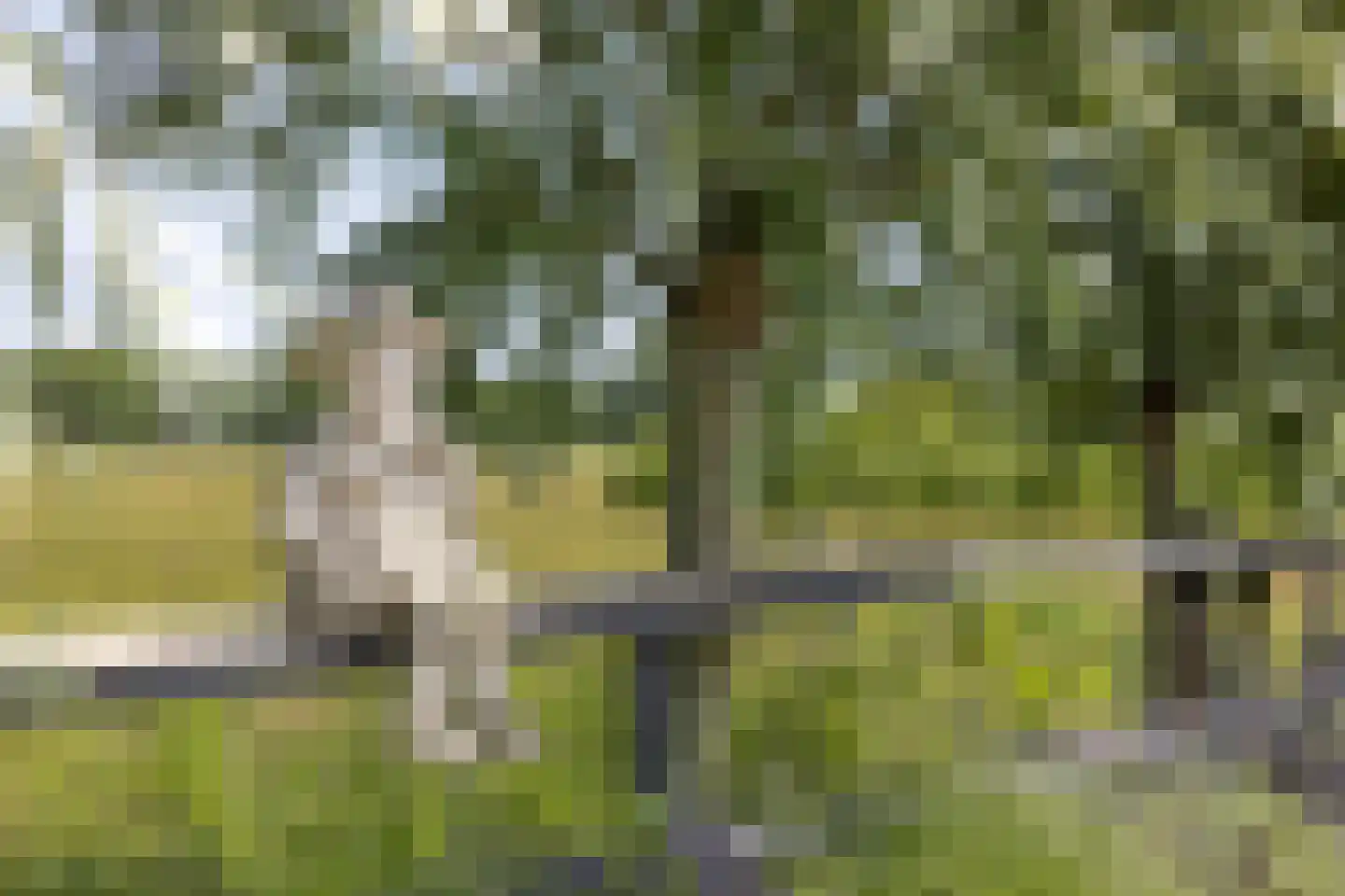 Philipsweg 16 Waterlandkerkje thumbnail 17