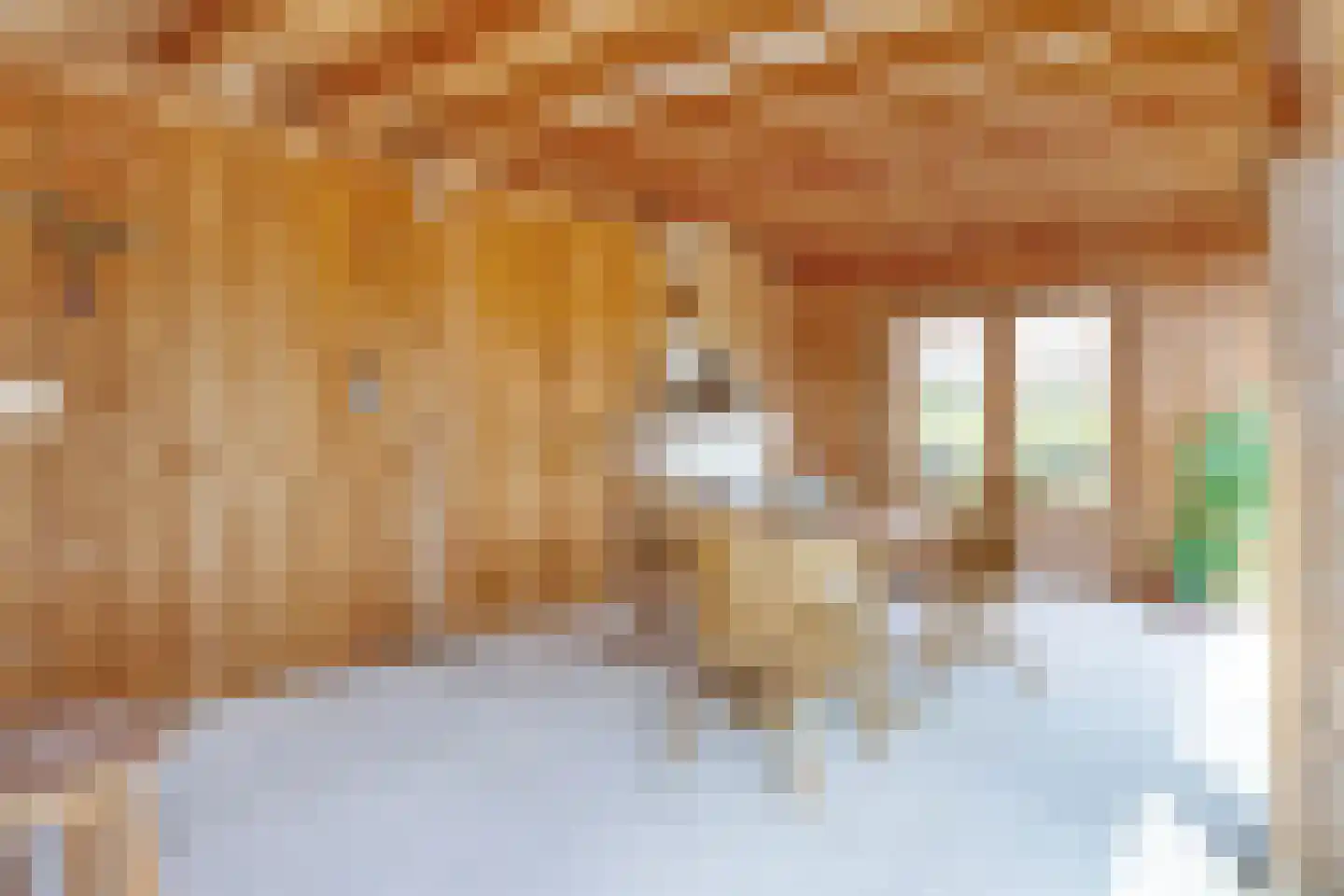 Philipsweg 16 Waterlandkerkje thumbnail 34