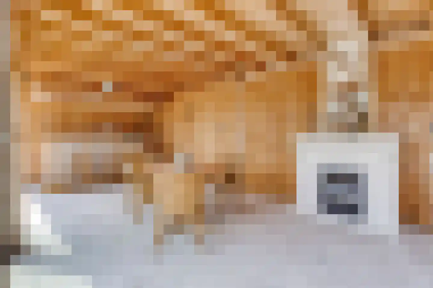 Philipsweg 16 Waterlandkerkje thumbnail 35
