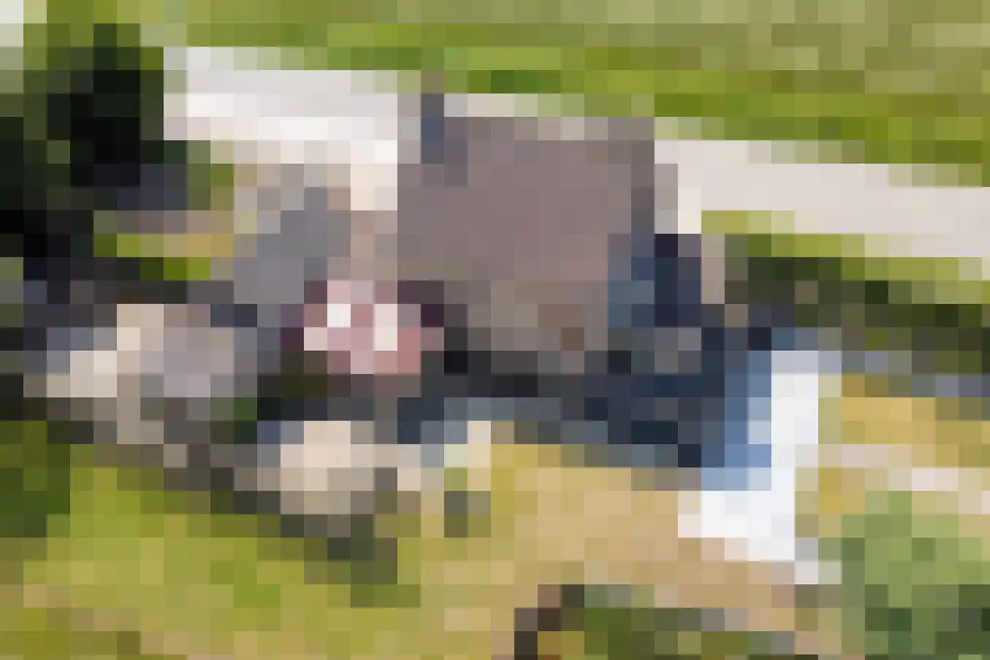 Philipsweg 16 Waterlandkerkje thumbnail 45
