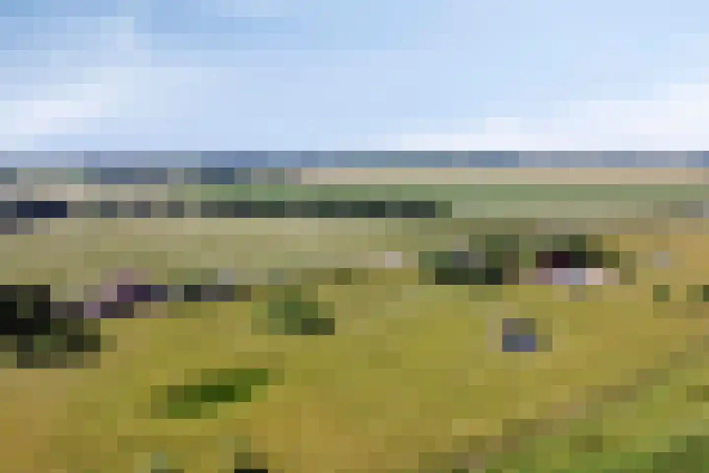 Philipsweg 16 Waterlandkerkje thumbnail 48