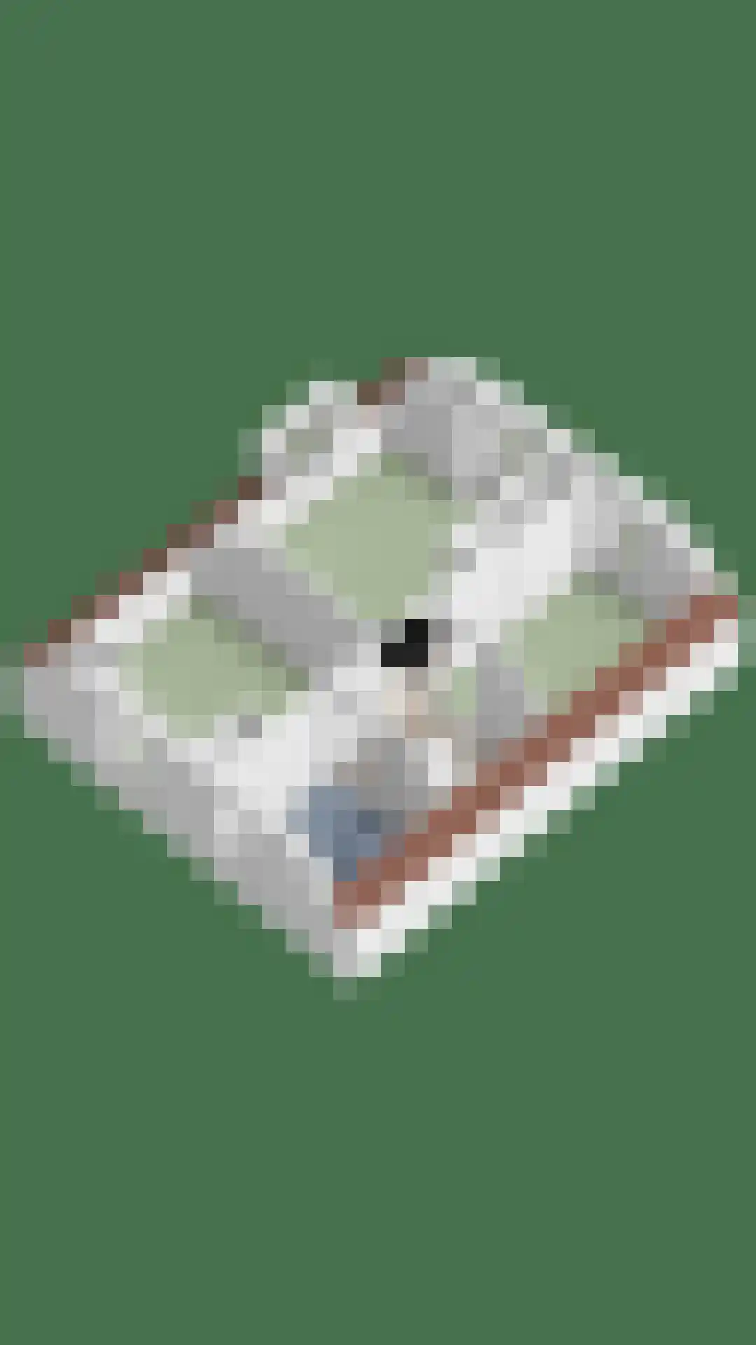 Philipsweg 16 Waterlandkerkje thumbnail 57
