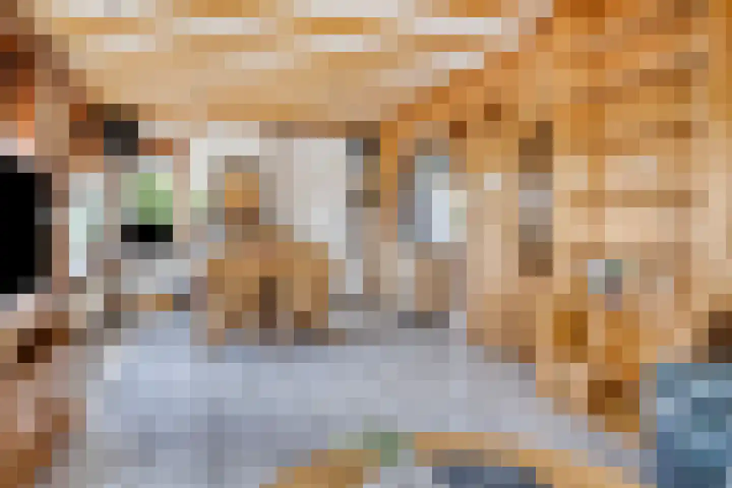 Philipsweg 16 Waterlandkerkje thumbnail 6