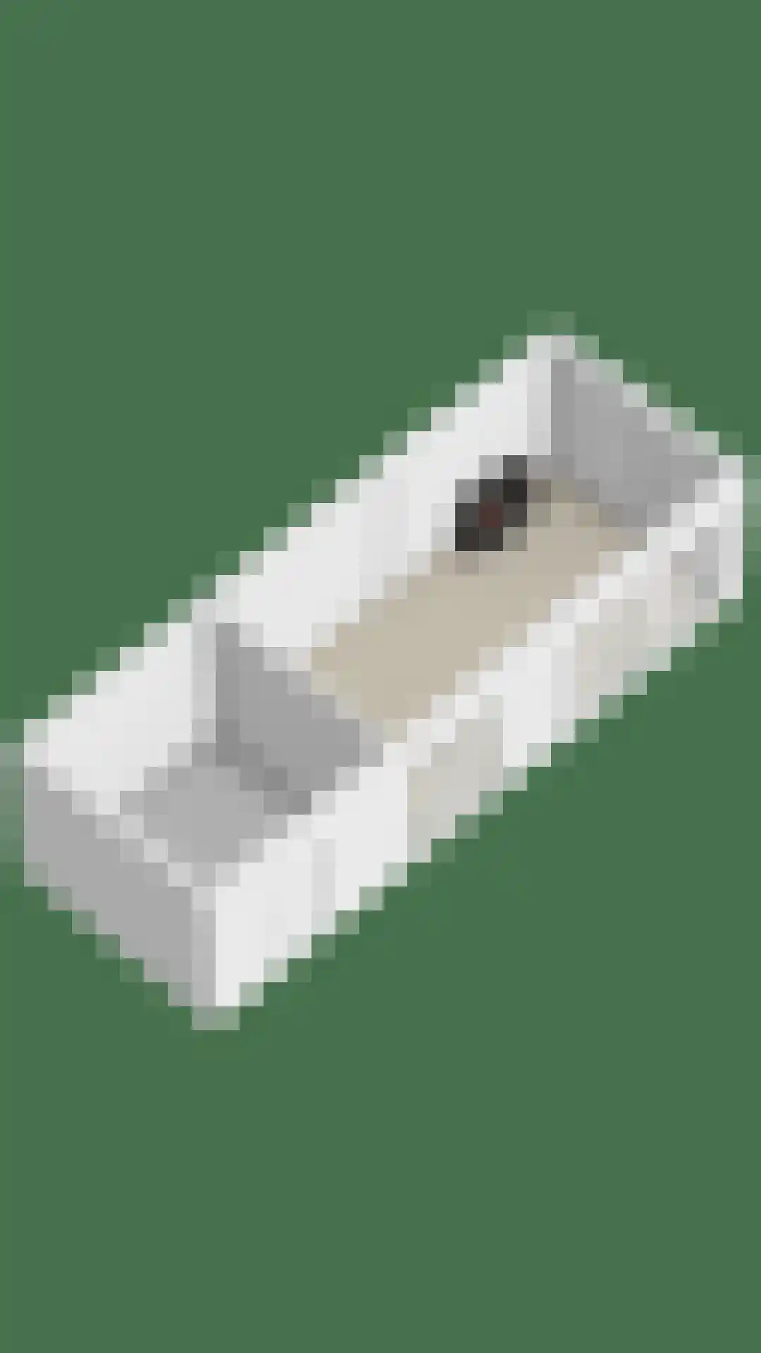 Philipsweg 16 Waterlandkerkje thumbnail 60