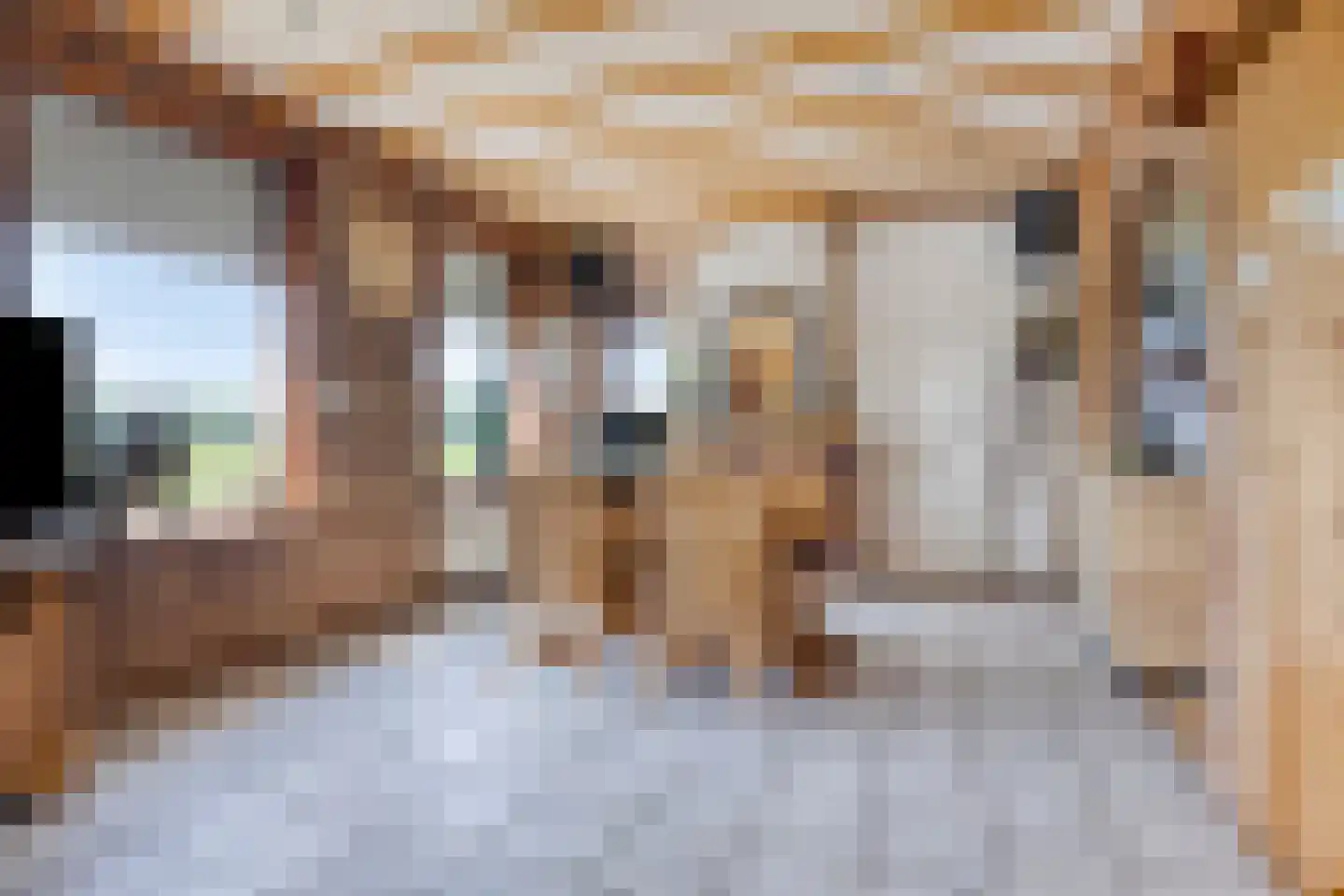 Philipsweg 16 Waterlandkerkje thumbnail 7