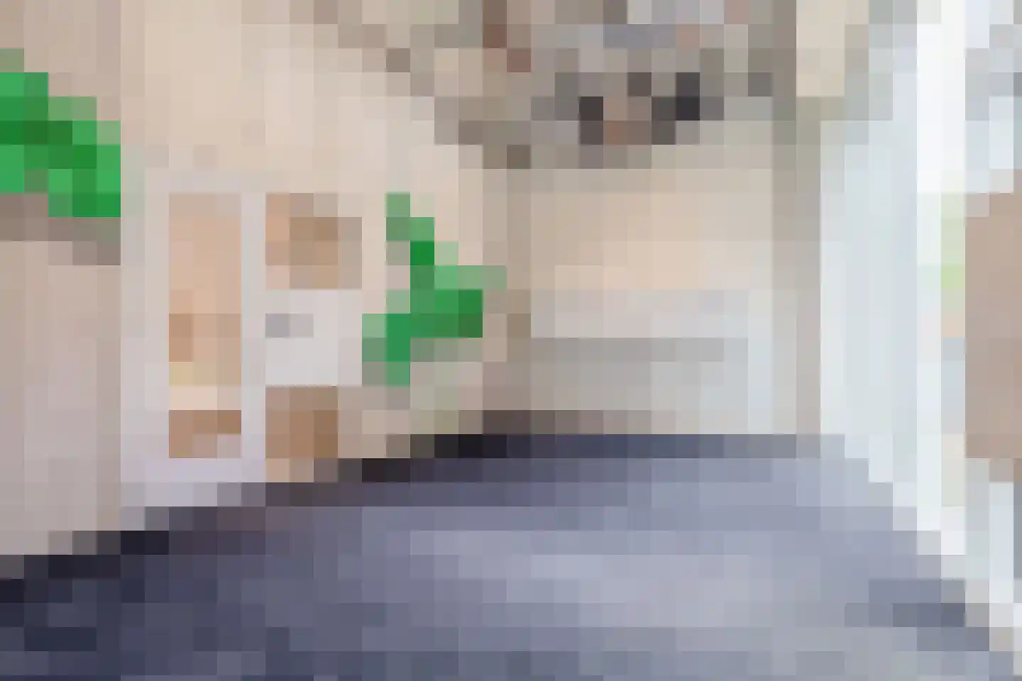 Philitelaan 57 012 Eindhoven thumbnail 15