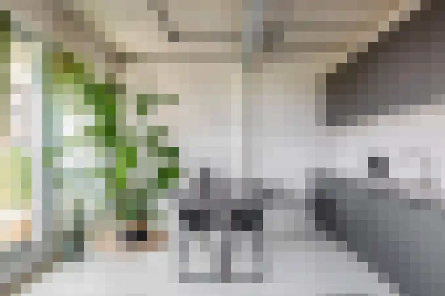 Philitelaan 57 012 Eindhoven thumbnail 20