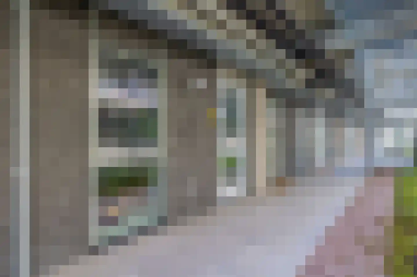 Philitelaan 57 012 Eindhoven thumbnail 20