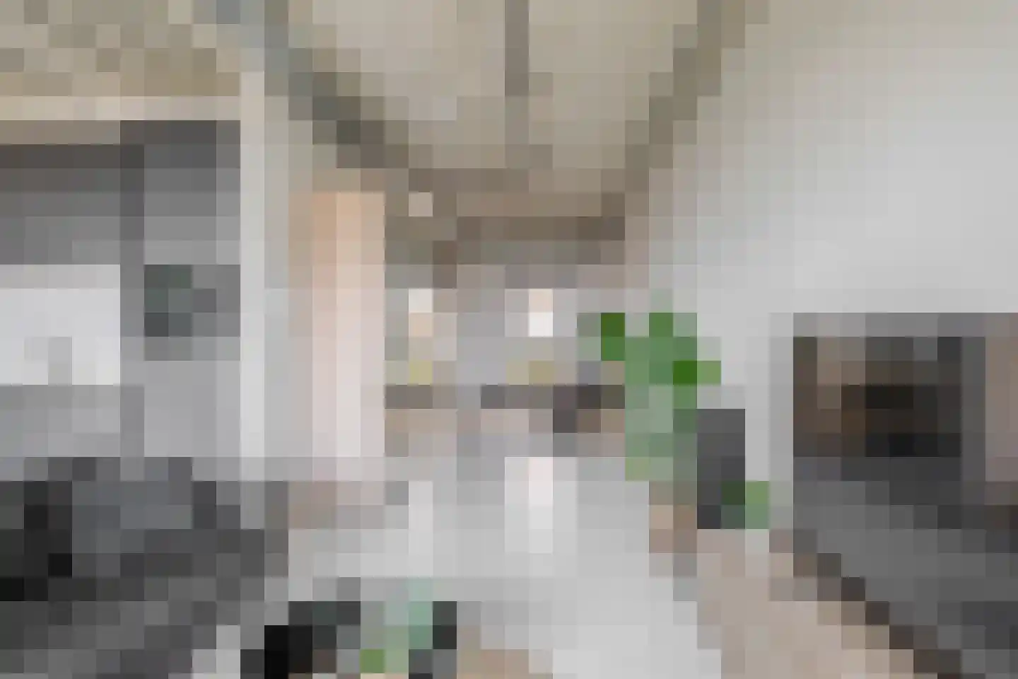 Philitelaan 57 012 Eindhoven thumbnail 24