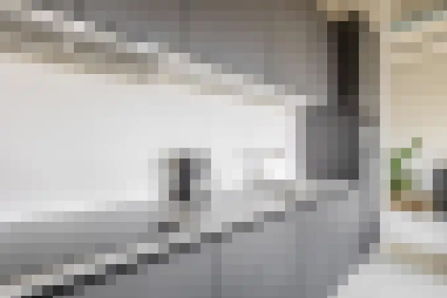Philitelaan 57 012 Eindhoven thumbnail 25
