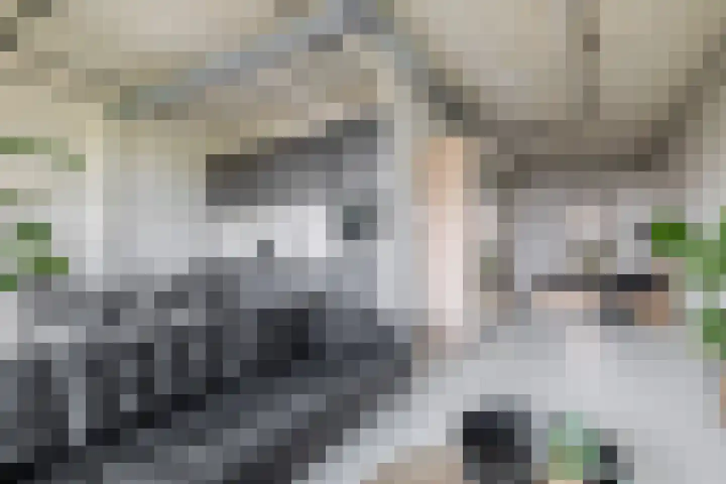 Philitelaan 57 012 Eindhoven thumbnail 25