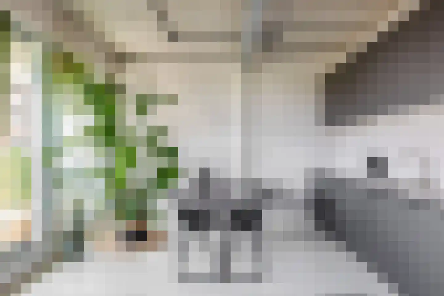 Philitelaan 57 012 Eindhoven thumbnail 28