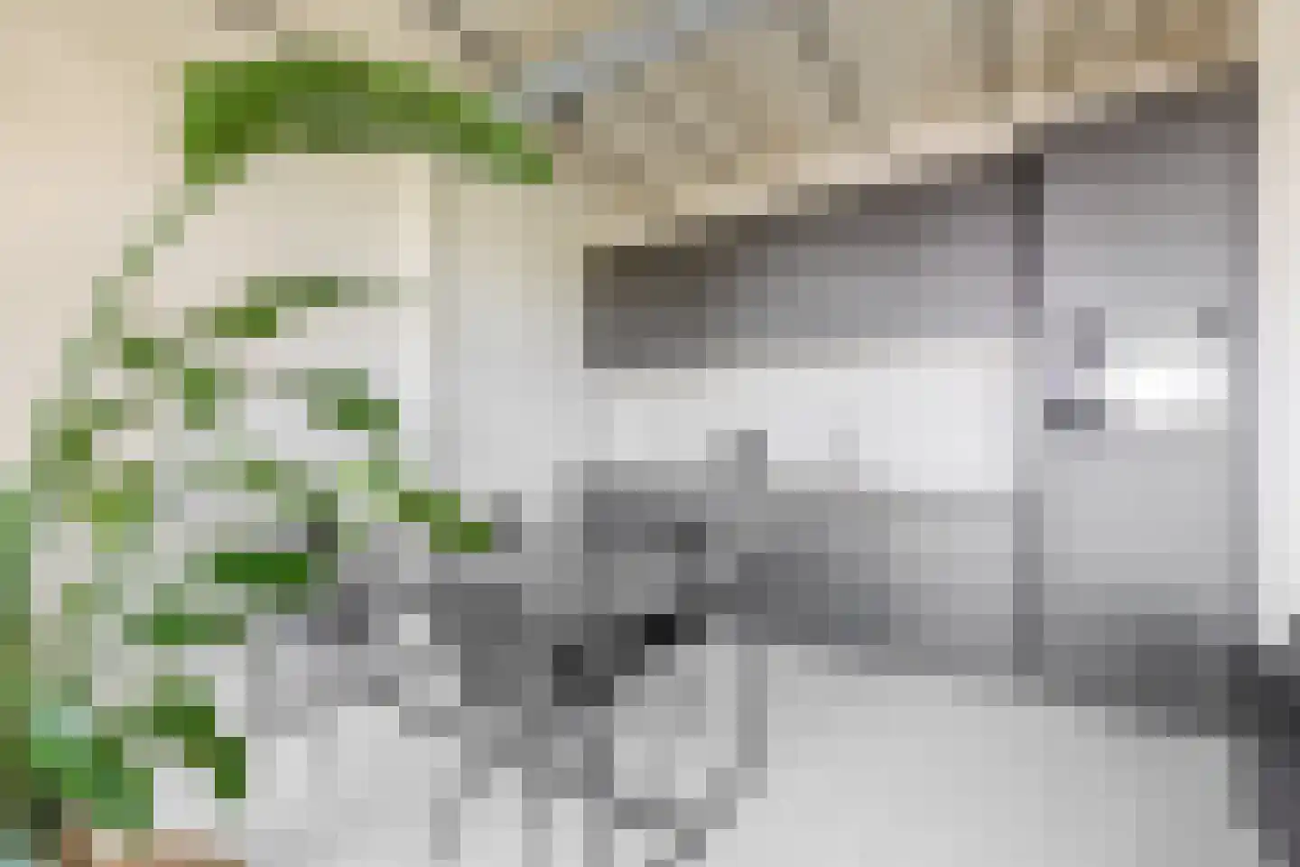 Philitelaan 57 012 Eindhoven thumbnail 32