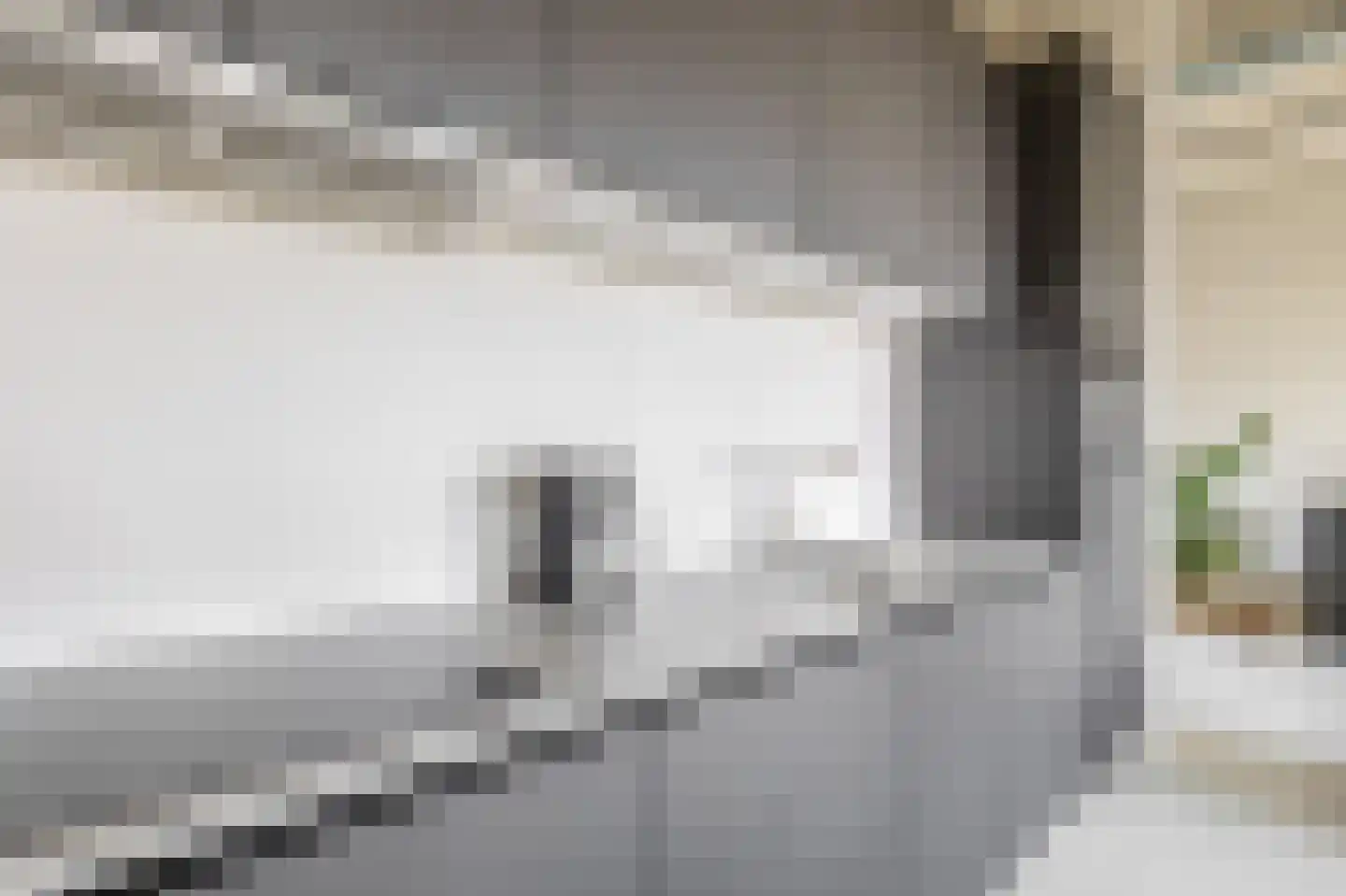 Philitelaan 57 012 Eindhoven thumbnail 33